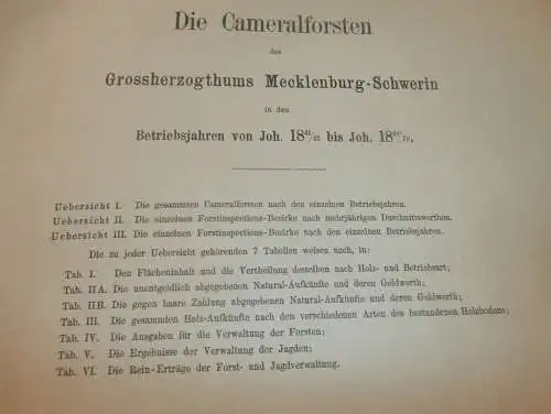 Statistik Mecklenburg 1876 , Forst und Jagd von Bützow , Dargun , Doberan , Lübz , Wismar , Rehna , Ritzerow , Wabel !!
