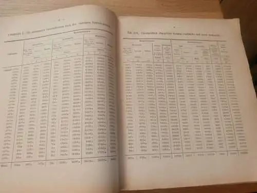 Statistik Mecklenburg 1876 , Forst und Jagd von Bützow , Dargun , Doberan , Lübz , Wismar , Rehna , Ritzerow , Wabel !!