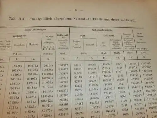 Statistik Mecklenburg 1876 , Forst und Jagd von Bützow , Dargun , Doberan , Lübz , Wismar , Rehna , Ritzerow , Wabel !!