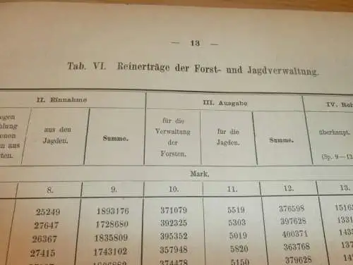 Statistik Mecklenburg 1876 , Forst und Jagd von Bützow , Dargun , Doberan , Lübz , Wismar , Rehna , Ritzerow , Wabel !!