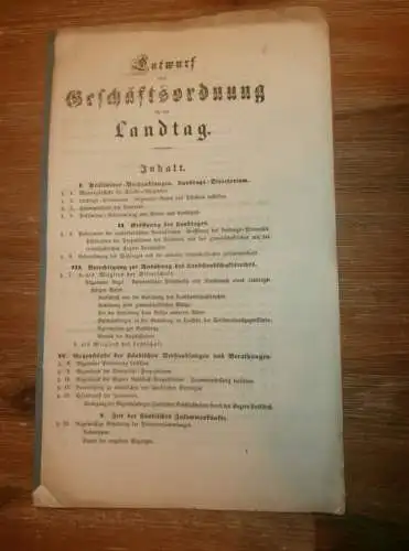 Landtag Mecklenburg , 1868 , Geschäftsordnung , alte Akte , Rostock , Schwerin , 18 Seiten !!