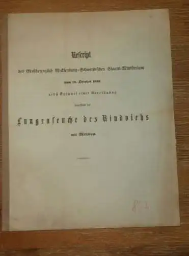 Lungenseuche des Rindviehs , 1856 , Mecklenburg Viehzucht , Tierarzt , Seuche , Pest , Tierzucht , alte Akte ,11 Seiten