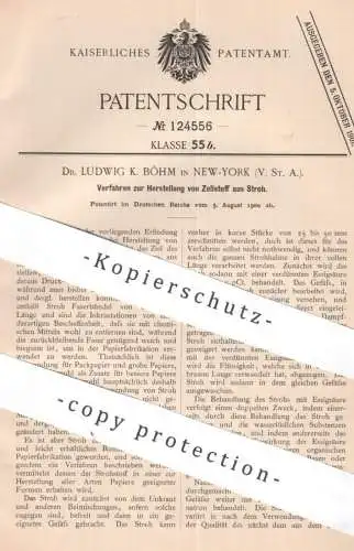 original Patent - Dr. Ludwig K. Böhm , New York , USA  | 1900 | Herst. von Zellstoff aus Stroh | Papier , Papierfabrik