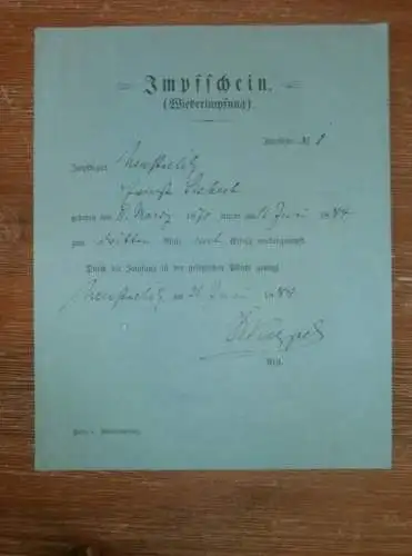 alter Impfschein , 1884 , Ernst Siebert in Neustrelitz i. Mecklenburg , Impfung , Impfen , Arzt , Medizin !!!