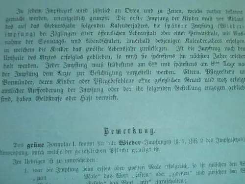 alter Impfschein , 1884 , Ernst Siebert in Neustrelitz i. Mecklenburg , Impfung , Impfen , Arzt , Medizin !!!