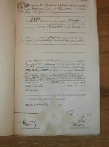 alte Akte - 1866 , Fritz Stein in Waren / Müritz ,  Reppelin b. Ribnitz in Mecklenburg , Willebrandt zu Dewitz Nahmacher