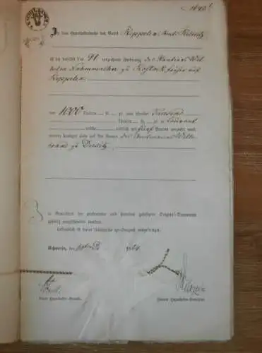 alte Akte - 1866 , Fritz Stein in Waren / Müritz ,  Reppelin b. Ribnitz in Mecklenburg , Willebrandt zu Dewitz Nahmacher