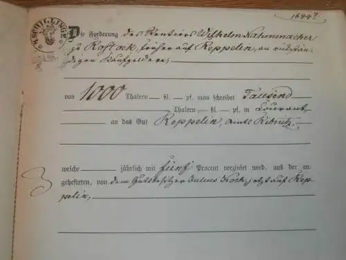 alte Akte - 1866 , Fritz Stein in Waren / Müritz ,  Reppelin b. Ribnitz in Mecklenburg , Willebrandt zu Dewitz Nahmacher