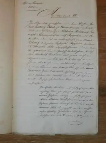 alte Akte - 1866 , Fritz Stein in Waren / Müritz ,  Reppelin b. Ribnitz in Mecklenburg , Willebrandt zu Dewitz Nahmacher