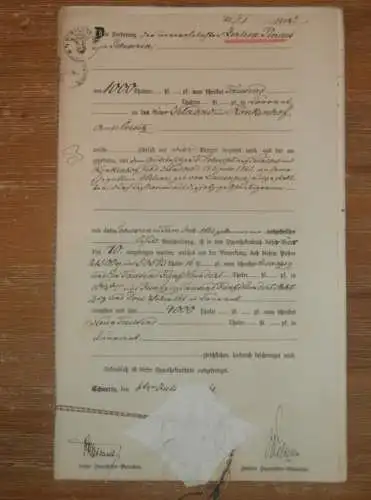 alte Akte - 1861, Zerline Pincus in Schwerin , Kladow und Rönkenhof bei Crivitz i. Mecklenburg , von Lauingen !!
