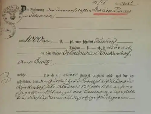 alte Akte - 1861, Zerline Pincus in Schwerin , Kladow und Rönkenhof bei Crivitz i. Mecklenburg , von Lauingen !!