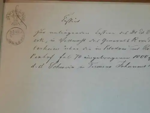 alte Akte - 1861, Zerline Pincus in Schwerin , Kladow und Rönkenhof bei Crivitz i. Mecklenburg , von Lauingen !!