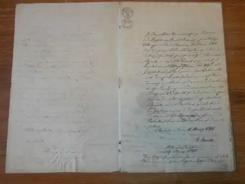 alte Akte - 1866 , Carl Staude in Teetzleben / Malchin i. Mecklenburg , Adel , Neuendorf b. Ribnitz , Dömitz , Walsleben
