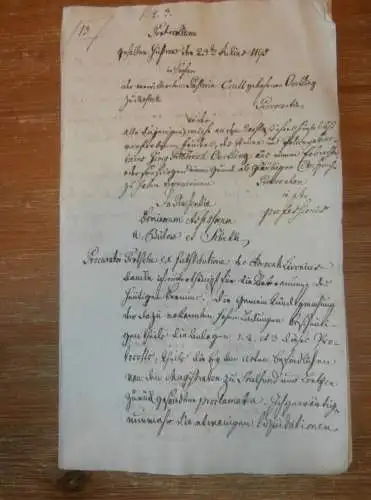 alte Akte - 1795 , von Bülow , Güstrow i. Mecklenburg , Adel , Rostock , Oerthling !!!