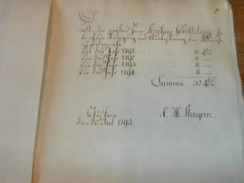 alte Akte - 1795 , von Bülow , Güstrow i. Mecklenburg , Adel , Rostock , Oerthling !!!