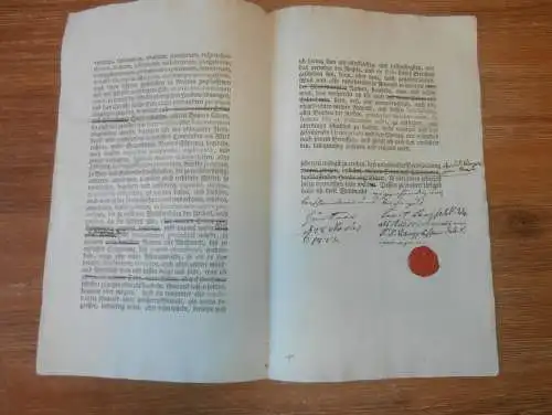 alte Akte - 1823 , von Bülow , Güstrow i. Mecklenburg , Adel , Schwerin !!!