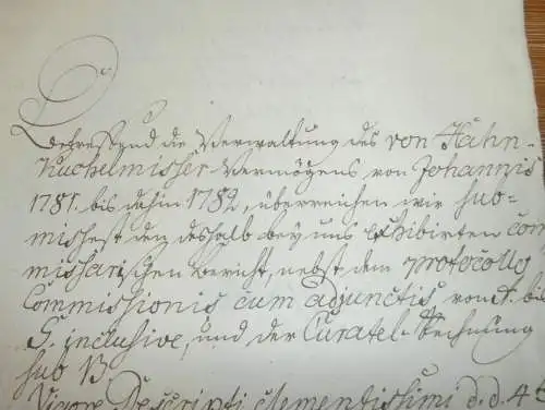 alte Akte - 1782 , von Hahn auf Kuchelmiss i. Mecklenburg , Vermögen , Rostock , Herzog , Roggenbau , Kuchelmiß !!!