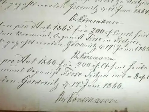 alte Akte - 1857-1889 , Goldenitz , Pritzier , Neuenrode b. Hagenow , Naumburg , Ludwigslust - Parchim , Mecklenburg !!