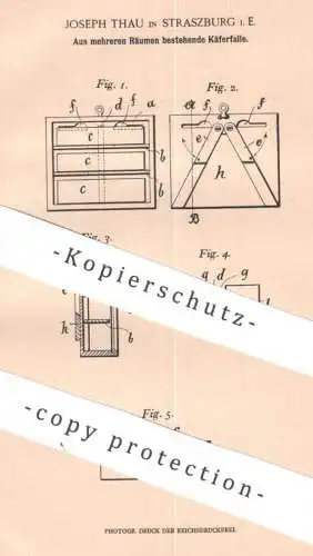original Patent - Joseph Thau , Strassburg / Elsass | 1902 | Käferfalle aus mehreren Räumen | Käfer , Schädlinge