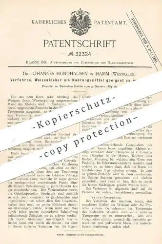 original Patent - Dr. Johannes Hundhausen , Hamm / Westfalen 1884 | Weizenkleber als Nahrungsmittel | Weizen , Getreide