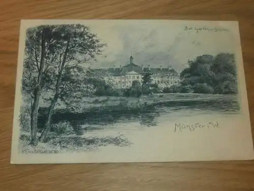 alte AK - Münster i.W. , ca. 1900 , botanischer Garten , Ansichtskarte !!!