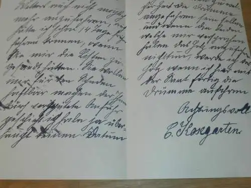 C. Kosegarten in Ludwigsdorf b. Teterow in Mecklenburg , 1919 , Jagd , Forst , Gielow , Dokument !!!