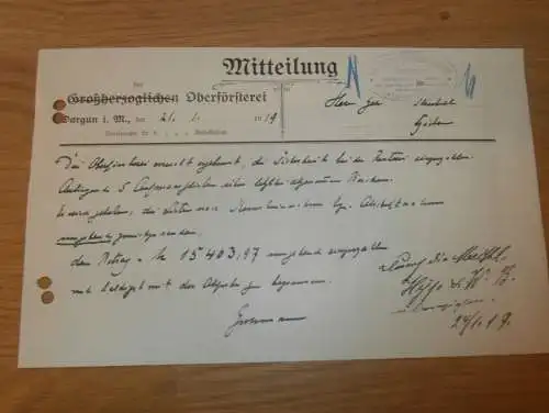 Oberförsterei Dargun in Mecklenburg , 1919 , Jagd , Forst , Dokument !!!