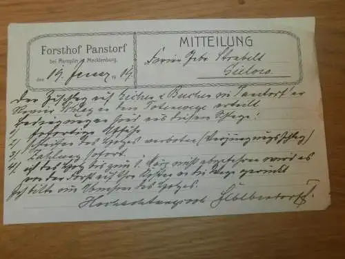 Forsthof Panstorf bei Remplin in Mecklenburg , 1919 , Forst , Gielow , Dokument !!!