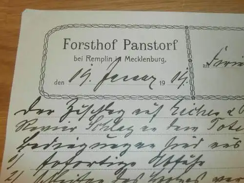 Forsthof Panstorf bei Remplin in Mecklenburg , 1919 , Forst , Gielow , Dokument !!!