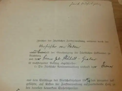 Revier Krümmel b. Lärz in Mecklenburg , 1919 , von Raden , Steinförde , Bückeburg , Reinshagen , Dokument !!!