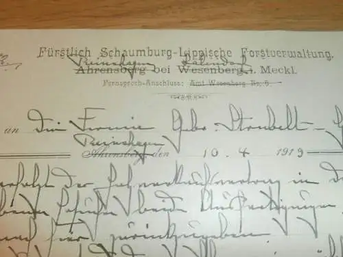 Forstverwaltung Reinshagen b. Satow in Mecklenburg , 1919 , Lalendorf , Forst , Schaumburg-Lippe , Dokument !!!