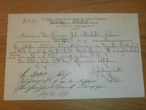 Forstverwaltung Reinshagen b. Satow in Mecklenburg , 1919 , Lalendorf , Forst , Schaumburg-Lippe , Dokument !!!