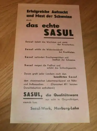 Sasul-Werk in Marburg a.d. Lahn , 1935 , Aufzucht und Mast der Schweine , Schweinezucht , Tierzucht , alte Reklame !!