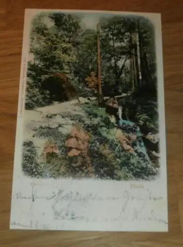 alte AK - Dresden , 1904 , Friedrichsgrund Pillnitz , Ansichtskarte