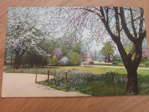 alte AK - Dresden , 1908 , Grosser Garten im Blütenschmuck , Ansichtskarte !!