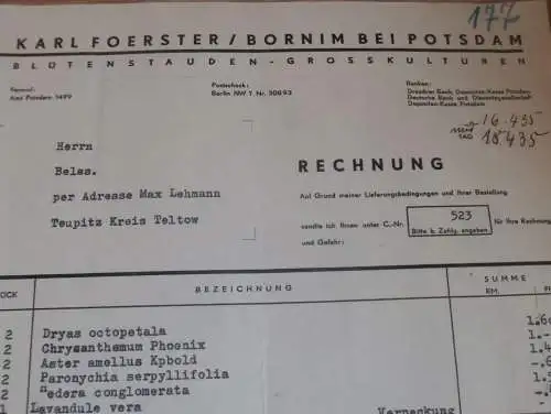 Blütenstauden / Pflanzen - Karl Foerster in Bornim b. Potsdam , 1935 , Reklame , altes Dokument