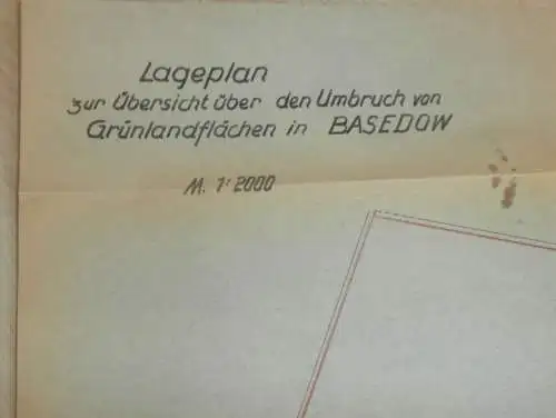Basedow i. Mecklenburg , ca. 1920 , alte Karte , Wiesen am Dahmer Kanal , ca. 510 x 360mm !!
