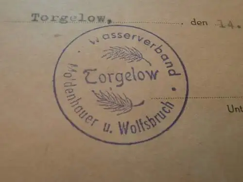 Moldenhauer Wolfsbruch - Torgelow 1950 , Haushaltsplan , Wasserverband , Mecklenburg , Pasewalk !!