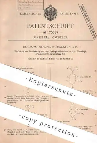 original Patent - Dr. Georg Merling , Frankfurt / Main | 1905 | Darstellung von 4 - Cyklogeraniumsäure | Säure , Chemie