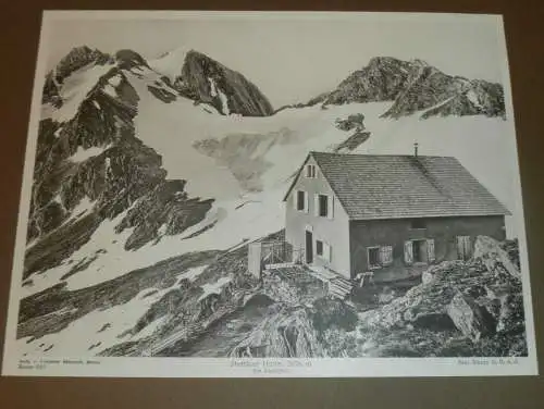 Bild / Aufnahme - Stettiner Hütte 2875 m , Stettin , ca. 1930 , auf Pappe , Hütte , Am Eisjöchel , ca. 330x230 mm !!!