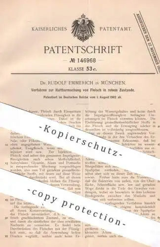 original Patent - Dr. Rudolf Emmerich , München | 1902 | Haltbarmachung von Fleisch in rohem Zustand | Konservierung !