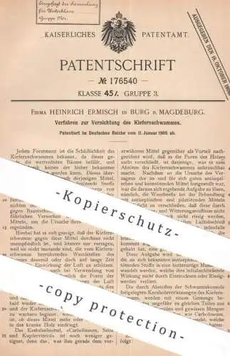 original Patent - Fa. Heinrich Ermisch , Burg / Magdeburg | 1905 | Vernichtung v. Kiefernschwamm | Kiefer | Förster Baum