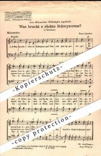 Männerchor Wollishofen , Was brucht e rächte Schwyzerma ? , Lied , Musik , Noten , Zürich !!!