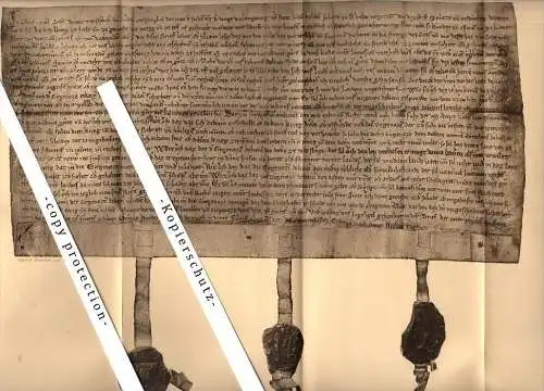 Bundesbrief - 1891 gedruckt , Faksimile !!!