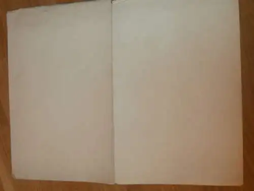 Inneres der Kirche Neustrelitz - 1900 - auf großer Urkunde zur Konfirmation v. Erna Belling , Mecklenburg !!