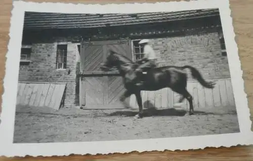 15 alte Fotos - Weitendorf i. Mecklenburg , 1937, Pferde , Gutshaus , Bauernhof , See , bei Brüel , Sternberg und Bützow