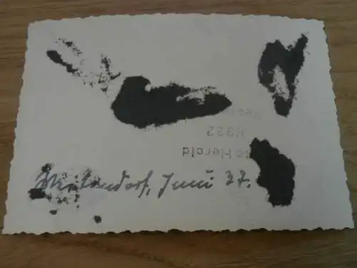 15 alte Fotos - Weitendorf i. Mecklenburg , 1937, Pferde , Gutshaus , Bauernhof , See , bei Brüel , Sternberg und Bützow