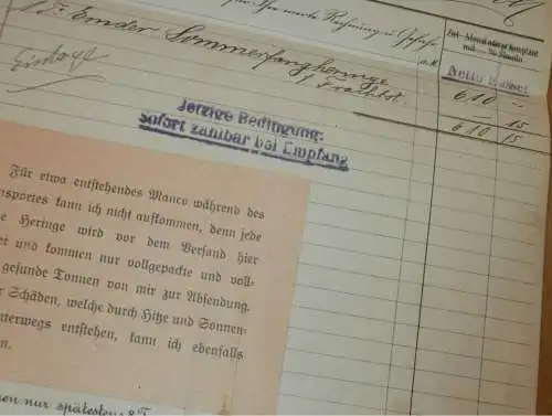 Heringe & nordische Produkte - 1921 - E.C. Winter in Rostock i. Mecklenburg , alte Rechnung , Wismar !!!