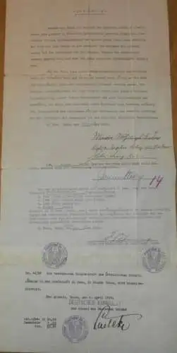 Deutsches Konsulat in San Antonio - Texas , 1929 , Erbschaft Fam. Kadow in Friedland i. Mecklenburg ,Erklärung , Stempel