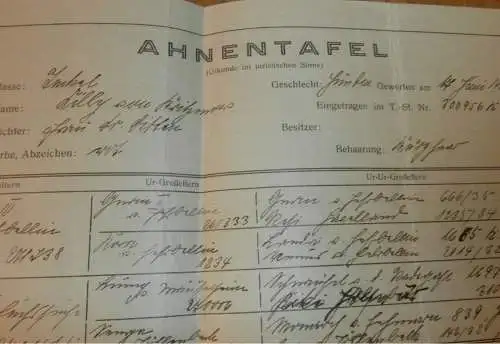 Deutscher Teckel Klub in Berlin , 1930 , Ahnentafel - Lilly von Kritzmow b. Rostock , Urkunde , Hundezucht , Hunde Zucht